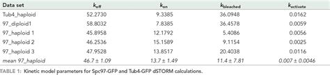 Table From Spatial Cues And Not Spindle Pole Maturation Drive The