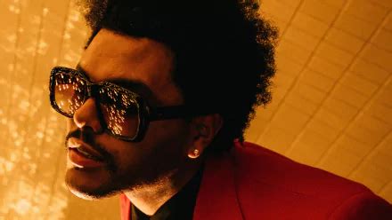 The Weeknd Pictures and Images: Free HD Downloads [40+]