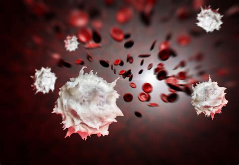 increase wbc count  health conscious blog bestcheck