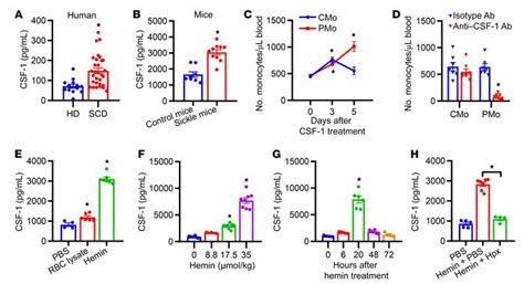 Jci Hemolysis Dictates Monocyte Differentiation Via Two Distinct