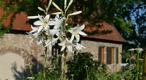 Kräutergarten UNESCO WELTERBE KLOSTER LORSCH