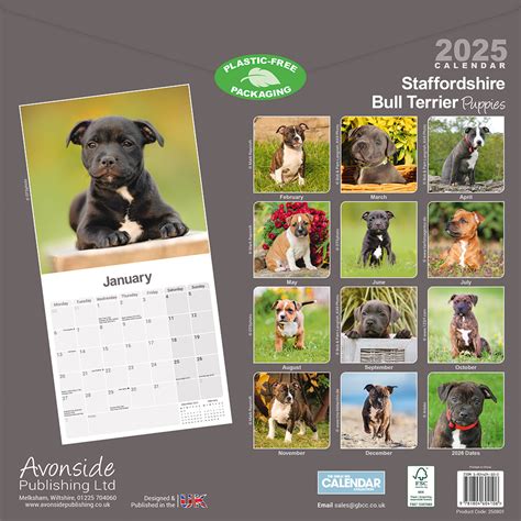 Staffordshire Bull Terrier Puppies Kalender Kopen Kalenderwinkel Nl