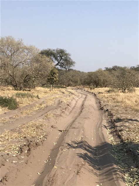 Safari Destinations - Self-Driving in Botswana