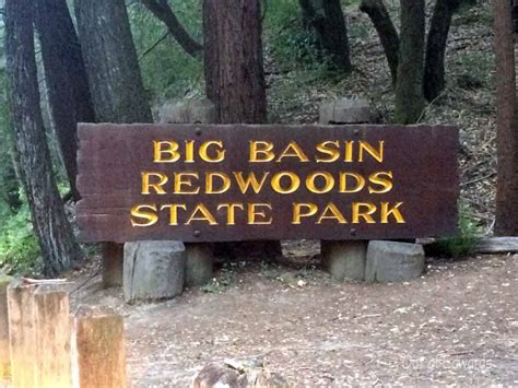 Out Of Edwards Big Basin Redwoods State Park