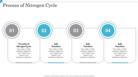 Process Of Nitrogen Cycle In Ppt Powerpoint Presentation Slide ...