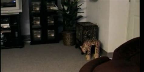 STR8 BOYZ SEDUCED Getting Amateur Straight Boy Paulie Off Tnaflix