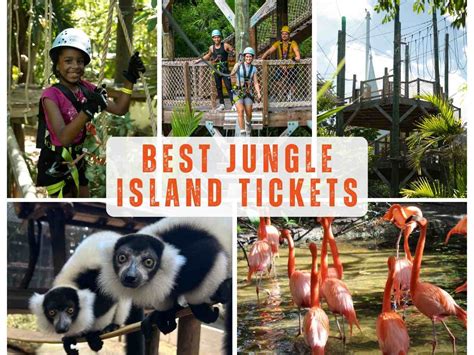 Jungle Island Tickets Prices And Discounts Parrot Jungle 2024