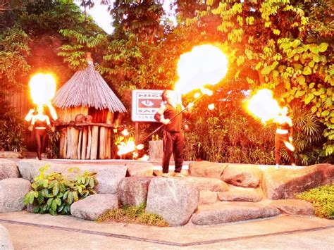 Night Safari Singapore A Full Review And How To Go Guide