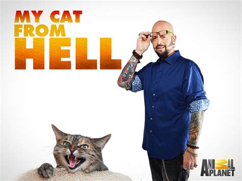 Prime Video My Cat From Hell Season