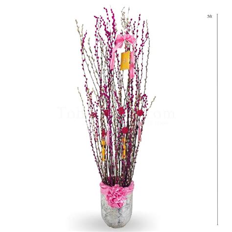 Pussy Willow Arrangement Pink Rabbit Toh Garden Singapore Orchid Plant Flower Grower