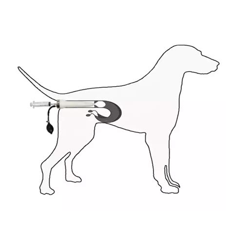 Icen Top Quality Ai Kits Dog Artificial Insemination Kit Inflatable Ai ...