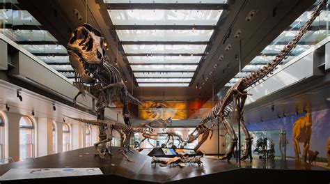 Natural History Museum of Los Angeles County Tours - Book Now | Expedia