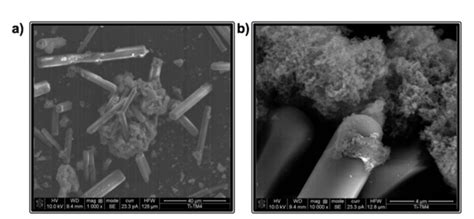 Scanning electron micrographs at different magnifications a) 1000X and ...
