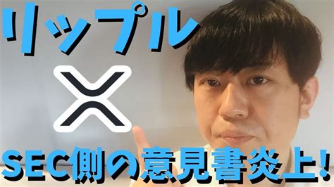 Secの主要な認定会社が作成した意見書が、ftxの破綻に腹を立て、数時間でまとめられたものだと分かり、「あなたは明らかにこの事件の事実も法律も