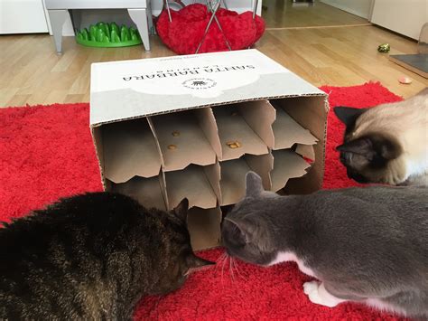 Puzzles With Cats 8