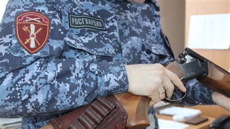 Ружья вологжан ждут на СВО. В Росгвардии напомнили, как их отдать - ГородЧе