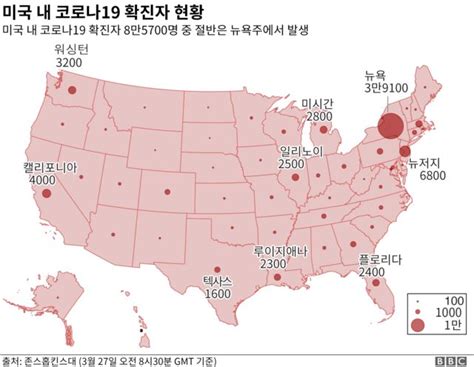 코로나19 미국 코로나19 환자수 중국 제치고 전세계 최다 기록 Bbc News 코리아