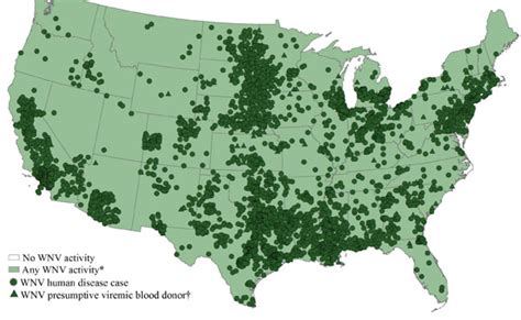 West Nile Virus Cases Up Across Southwest | KPBS Public Media