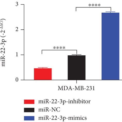 MiR 22 3p Suppressed Cell Proliferation Of BC Cells A B Expression