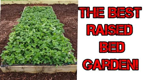 The Easiest Way To Keep Weeds Out Of Your Raised Bed Garden Youtube