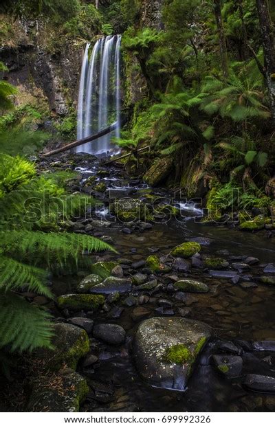 Waterfall Ferns Rocks Flowing Creek Vertical Stock Photo