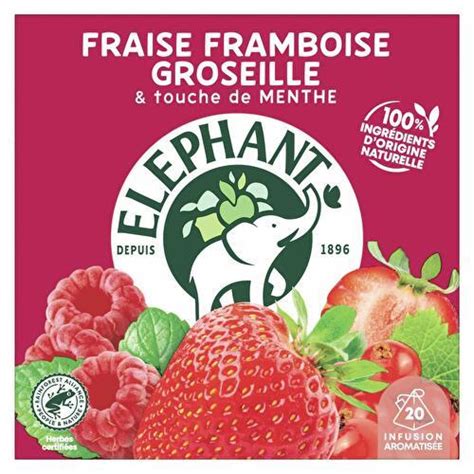 L Phant Infusion Fraise Framboise Groseille Touche De Menthe X