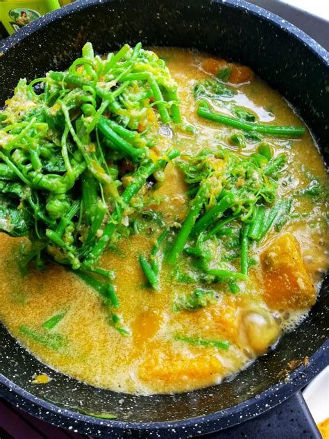 Cara Untuk Membuat Gulai Pucuk Paku Bersama Labu Masak Lemak Confirm