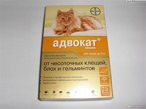 Адвокат: капли для кошек от паразитов