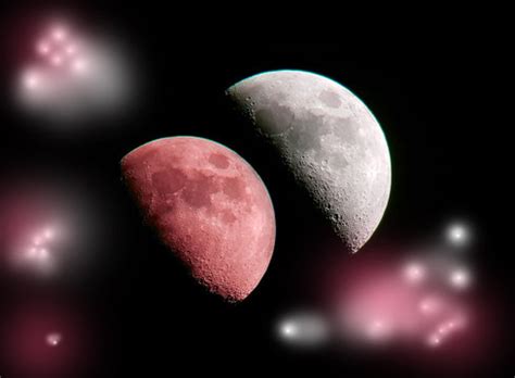 Lunari Images – Browse 75 Stock Photos, Vectors, and Video | Adobe Stock