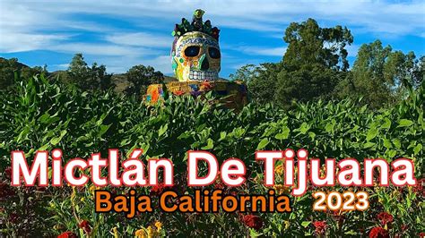 Mictl N De Tijuana Campo De Flores Cempas Chil Folklore De