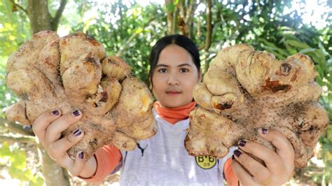 Awesome Cooking : Potato Dioscorea esculenta Dessert Delicious Recipe - Cook & Eating Food Show ...