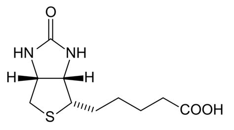 Vitamine H ou biotine • Poules et Cie