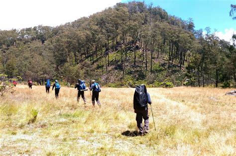 Menikmati Indahnya Sabana Di Jalur Pendakian Baderan Where Your