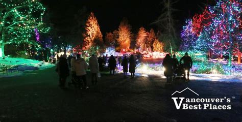 Festival of Lights at VanDusen | Vancouver's Best Places