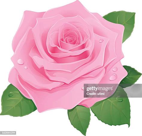Pink Cartoon Photos And Premium High Res Pictures Getty Images
