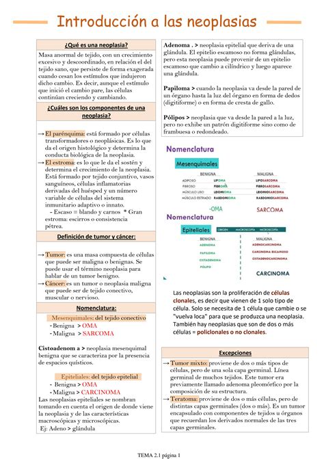 Solution Introducci N A Las Neoplasias Studypool