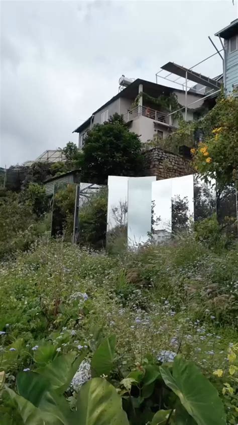 Qu N C Ph L T C A Hot Tiktoker G Y X N Xao H Gi Sang Nh Ng Ch C N Tri U Ng B Y