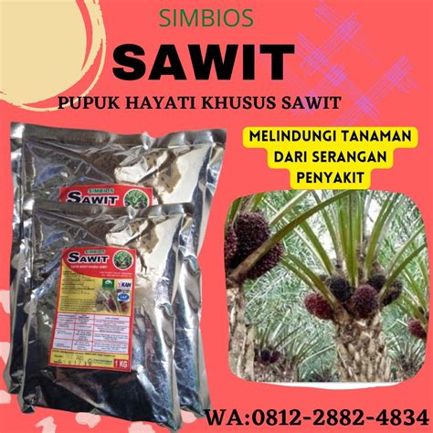 Daun Kelapa Sawit Menguning Alvarotarosalazar