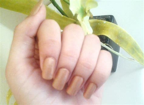 Blog da Carol Estréia Nude chique