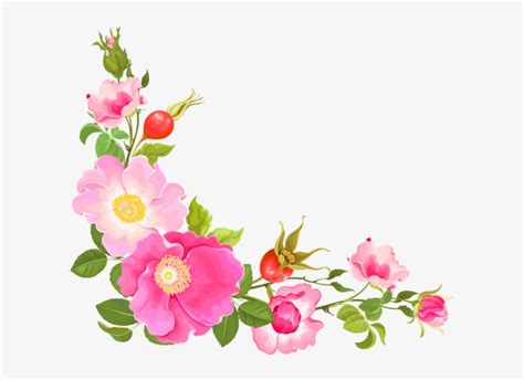 Flower Corner Frame Png | Best Flower Site