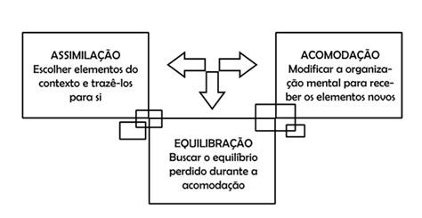 Assimilação Acomodação E Equilibração - Construtivismo Piagetiano: Assimilação e acomodação: equilibração