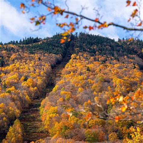 Stowe Mountain Resort - Topping these last few months won’t be easy