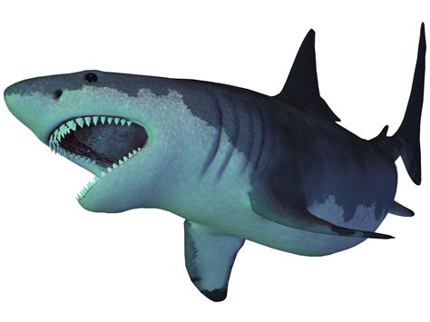 Giant Prehistoric Megalodon Shark