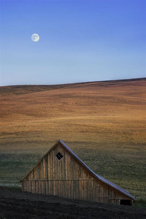 The Deep Amber Wheat Color Of The Hills Let Us Know Winter Is On It S