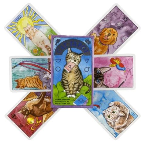 Nowe Koty Codzienna Czarownica Tarot Chowańce Karty Talii Wróżenie Losu