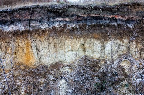 Premium Photo Cut Of Soil