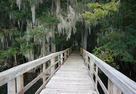 Manatee Springs State Park Florida State Parks