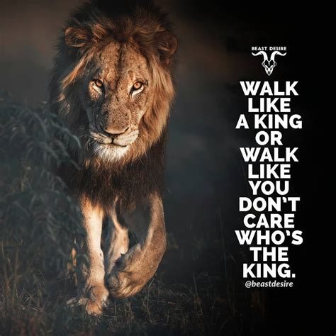 Lion Motivation Wallpapers Top Những Hình Ảnh Đẹp