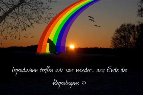 Regenbogenbrücke Abschied von Tieren Catplus de