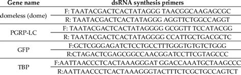 Primer sequences for dsRNA synthesis. | Download Scientific Diagram